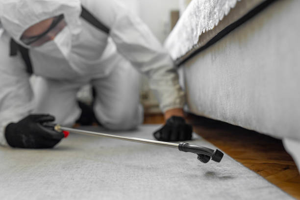 Professional Termite Control technician working in Clarkesville, GA