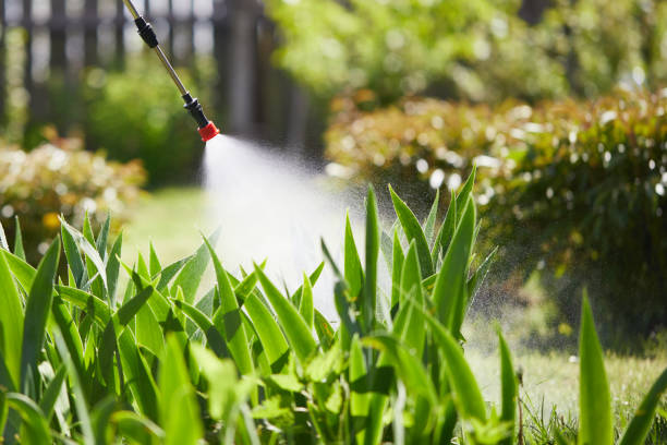 24/7 Emergency Termite Control experts in Clarkesville, GA