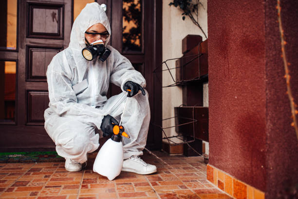 Reliable Termite Control contractor in Clarkesville, GA by Nex Pest Control